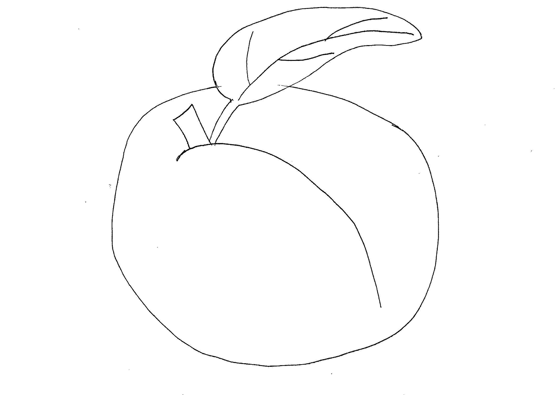 Canna Da Pesca Disegno Da Colorare